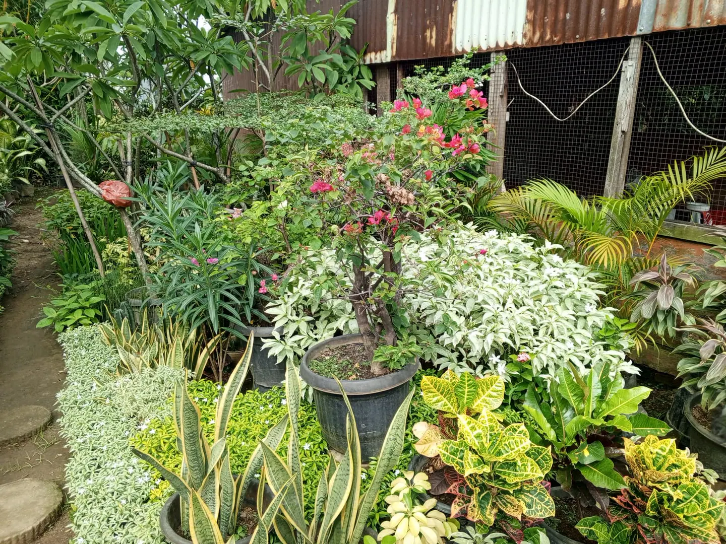 Florist, thumbnail 4