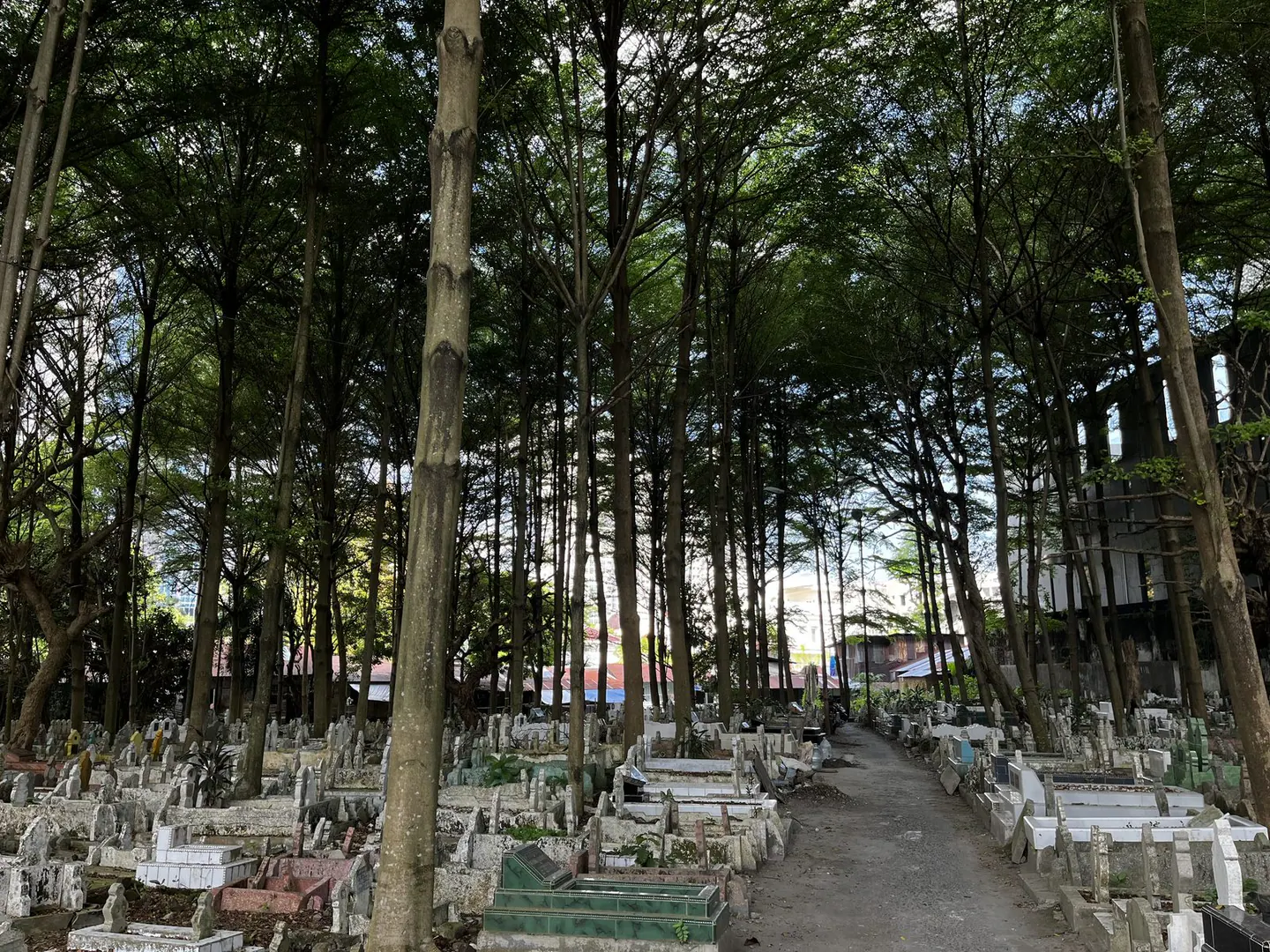 Perkuburan Sei Deli 3, thumbnail 7