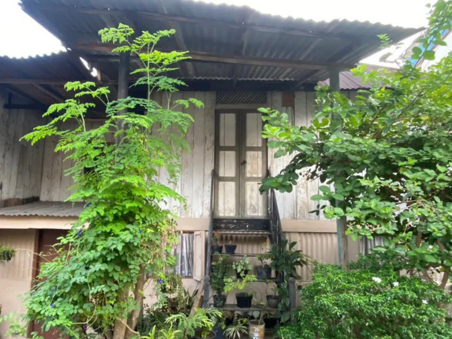 Rumah Panggung Jl. Nenas, thumbnail 2